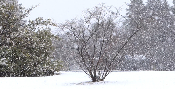 Winter Village Snowfall - 02 alt