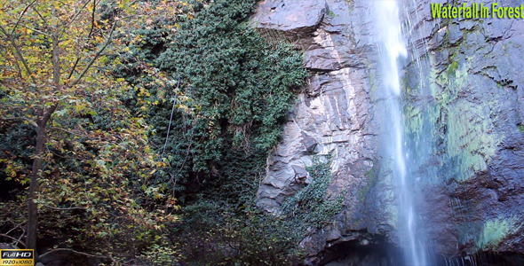 Waterfall In Forest