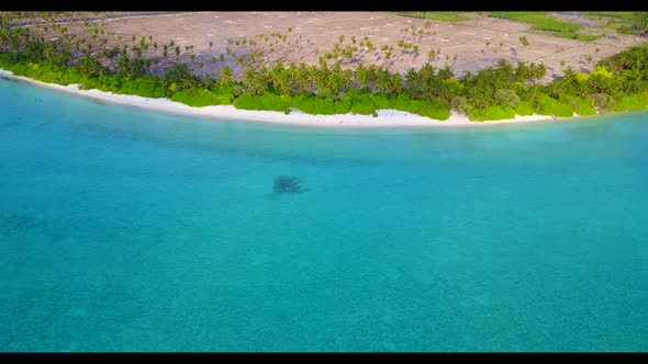 Aerial flying over nature of idyllic bay beach wildlife by turquoise sea with white sand background 