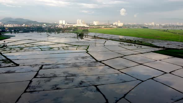 Aerial view reflection of sky over water in rice paddy field