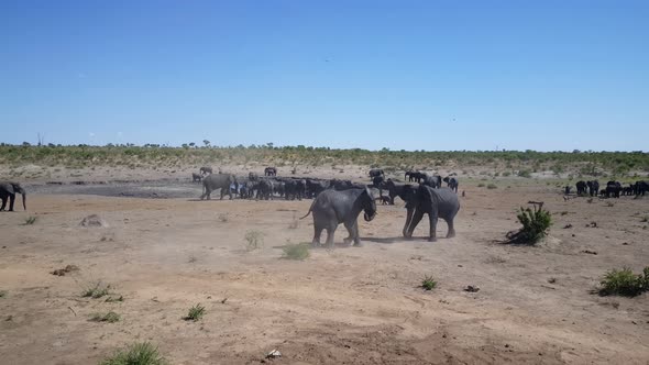Two bull elephants fighting around Omuramba Waterhole