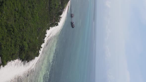 Zanzibar Tanzania  Ocean Shore Covered with Green Thickets Vertical Video Aerial View