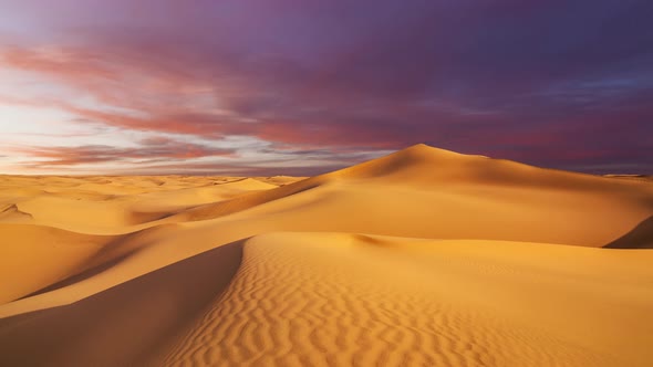 Sunset Over the Sand Dunes in the Desert