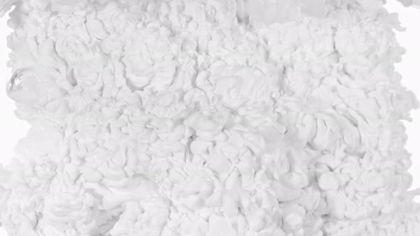 Super Slow Motion Shot of Abstract White Ink Flowing in Water at 1000Fps
