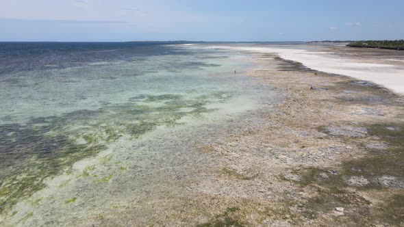 Low Tide in the Ocean Near the Coast of Zanzibar Island Tanzania