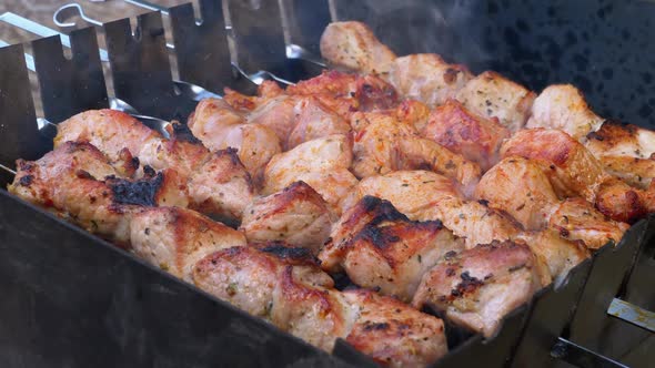 Shish Kebabs on Skewers Are Prepared on Grill. Raw Meat Cooked on Charcoal Grill