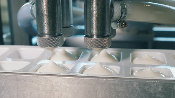 Automated Machine Pours Dairy Product Into Containers at a Factory.