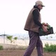 On a sunny day, a farmer family harvesting red chili peppers in a greenhouse - VideoHive Item for Sale