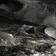 Night Winter River - VideoHive Item for Sale