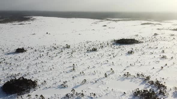 Aerial drone top-down view on snow-covered bog field on a sunny winter day. Recorded in Valgeraba, S