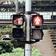 Pedestrian Crossing Signal - VideoHive Item for Sale