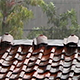 Heavy Rain on the Roof 4 - VideoHive Item for Sale