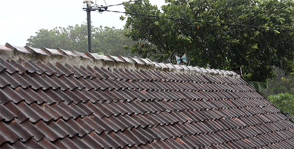 Heavy Rain on the Roof 8