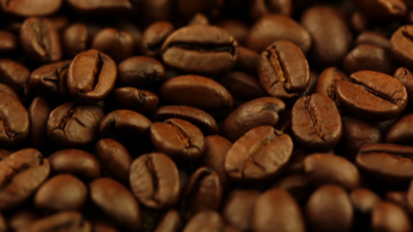 Roasted Coffee Grain