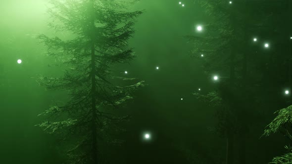 Magical Forest with Sparkles