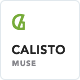 Calisto - One Page Muse Template - ThemeForest Item for Sale