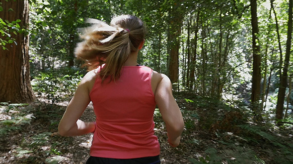 Running Through The Rainforest