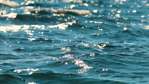 Sea