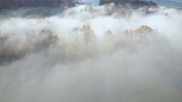 spectacular view over misty lush green valley