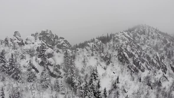 Aerial View of Snowy Foggy Winter Forest During Snowfall in Coniferous Mountain Forests