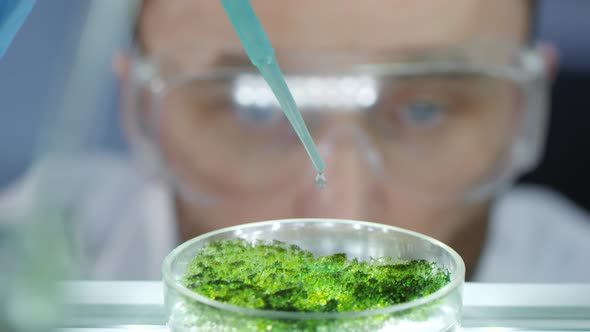 Scientist Dropping Chemical with Pipette on Green Substance