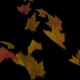 Autumn Leaves Loop with transparency - VideoHive Item for Sale