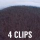 Aerial Scary Woods Pack (4 Clips) - VideoHive Item for Sale