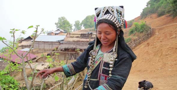 Indigenous Native Tribal People, Akha Tribe 1