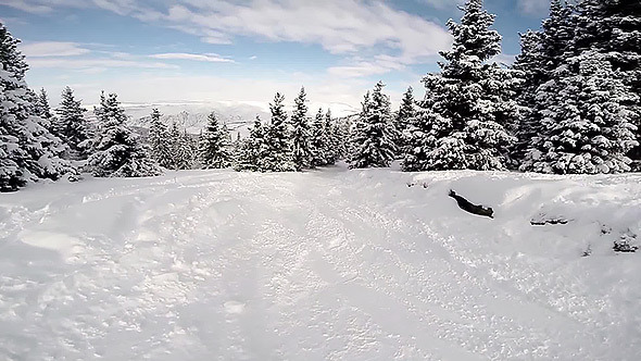 Snowboarding