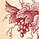 Wine Grapes Vintage Style Illustration - GraphicRiver Item for Sale