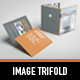 Business Image Trifold Brochure - GraphicRiver Item for Sale