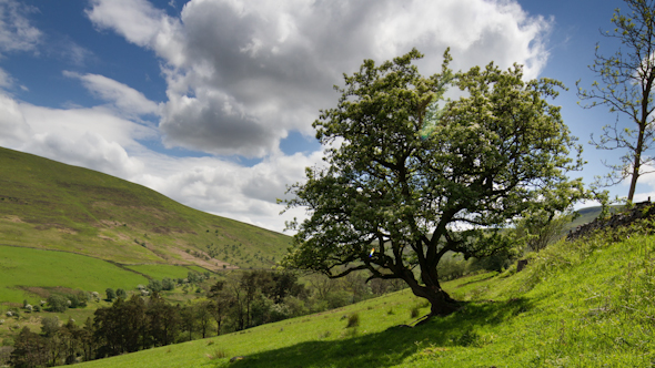 Brecon Beacons Wales Field Countryside 5