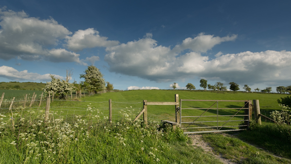 England Countryside Rural Summer Field 9