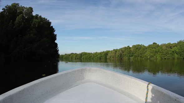 Lagoon Natural Park Bird Reserve Mexico 5