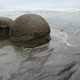 Impressive Moeraki Boulders in the Pacific Ocean Waves - VideoHive Item for Sale