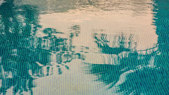 Paradise Swimming Pool 1