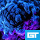 Particles Explosion - VideoHive Item for Sale