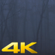 Scary Forest with Fog - VideoHive Item for Sale