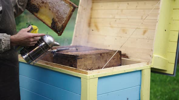 Apiculture Scene, Beekeeper in Front of Colored Wooden Bee Hive, Pumping Bee Smoker then Hanging it