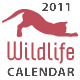 Wildlife Calendar 2011 [ 12 pages ] - GraphicRiver Item for Sale