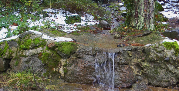 Small Creek in Nature in Winter