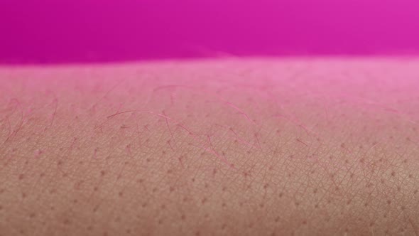 Hand Skin in Pink Neon Light Human Body Part and Ultraviolet Arm Surface Macro Shooting