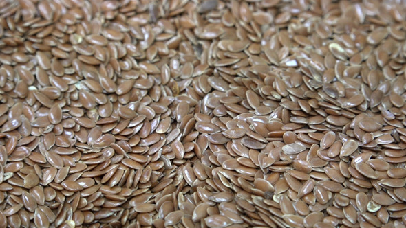 Flax, Common Flax or Linseed