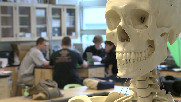 Skeleton In Science Class (3 Of 3)