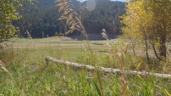 Slow motion moving through grass looking towards dry lake bed