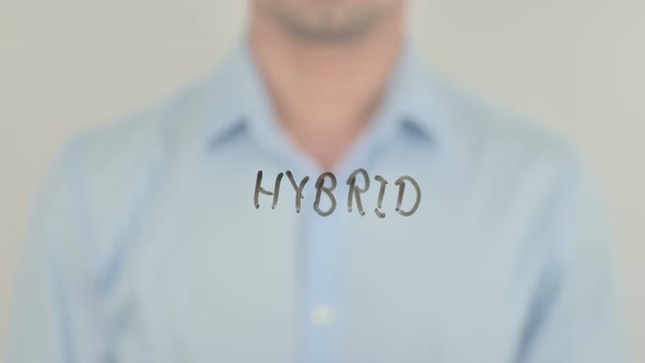 Hybrid