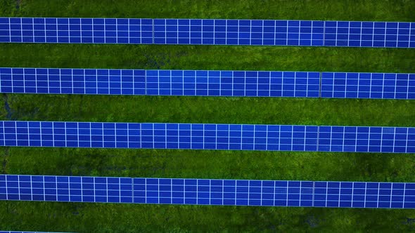 Top View Blue Solar Panels Rows on Green Grass