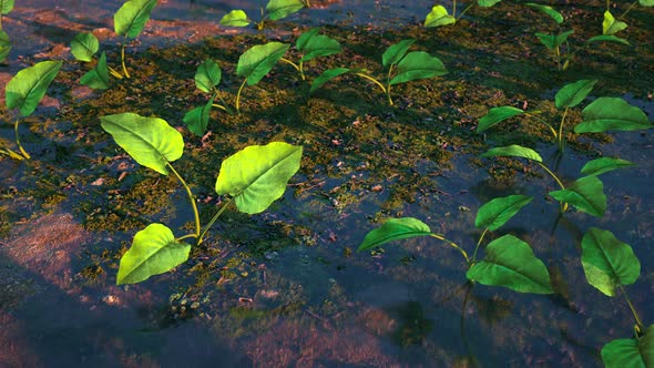 Day Cycle of Life at Wild Terrain