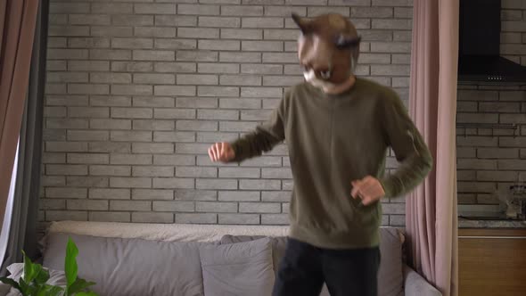 A male freak in a cat mask dances a stupid dance at home in the living room