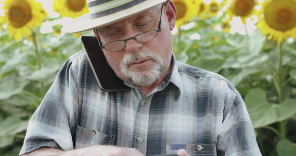 Portrait of Senior Farmer Talking on Mobile Phone and Using Tablet at Sunflowers